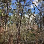 Investment property for sale in Calcasieu Parish