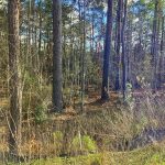 Calcasieu Parish Commercial land for sale