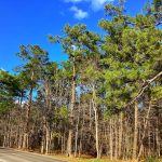 Recreational property for sale in Calcasieu Parish
