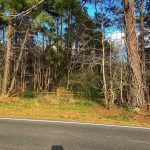 Calcasieu Parish Recreational land for sale