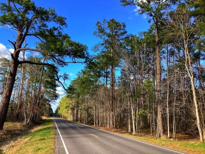 Calcasieu Parish Timberland property for sale