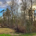 Calcasieu Parish Investment property for sale