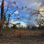 Investment land for sale in Calcasieu Parish