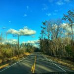 Calcasieu Parish Development land for sale