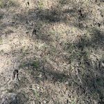 St. Landry Parish Recreational property for sale