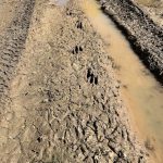 St. Landry Parish Recreational land for sale