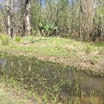 St. Landry Parish Recreational land for sale