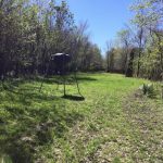 St. Landry Parish Investment property for sale