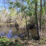 Recreational property for sale in St. Landry Parish