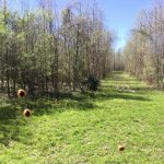 St. Landry Parish Investment property for sale