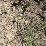 St. Landry Parish Investment property for sale