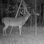 St. Landry Parish Investment property for sale