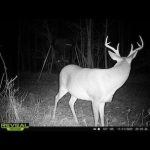 Recreational property for sale in St. Landry Parish