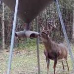 St. Landry Parish Investment land for sale