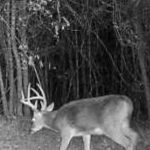 Recreational property for sale in St. Landry Parish