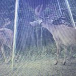 Recreational property for sale in St. Landry Parish