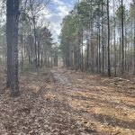 Recreational property for sale in Caddo Parish