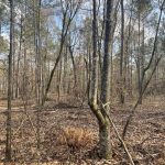 Caddo Parish Investment property for sale