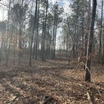 Caddo Parish Investment land for sale