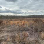 Recreational property for sale in Webster Parish