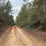 Webster Parish Development land for sale