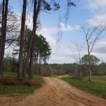 Natchitoches Parish Investment land for sale