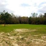 Natchitoches Parish Investment property for sale