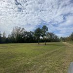 Natchitoches Parish Investment land for sale