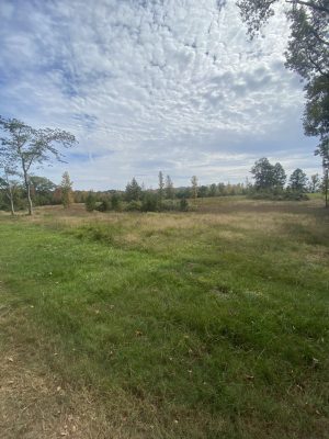 Natchitoches Parish Recreational property for sale