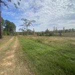 Timberland property for sale in Natchitoches Parish