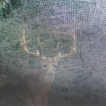 Timberland property for sale in Natchitoches Parish