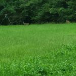 Natchitoches Parish Investment property for sale