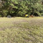 Investment land for sale in Natchitoches Parish